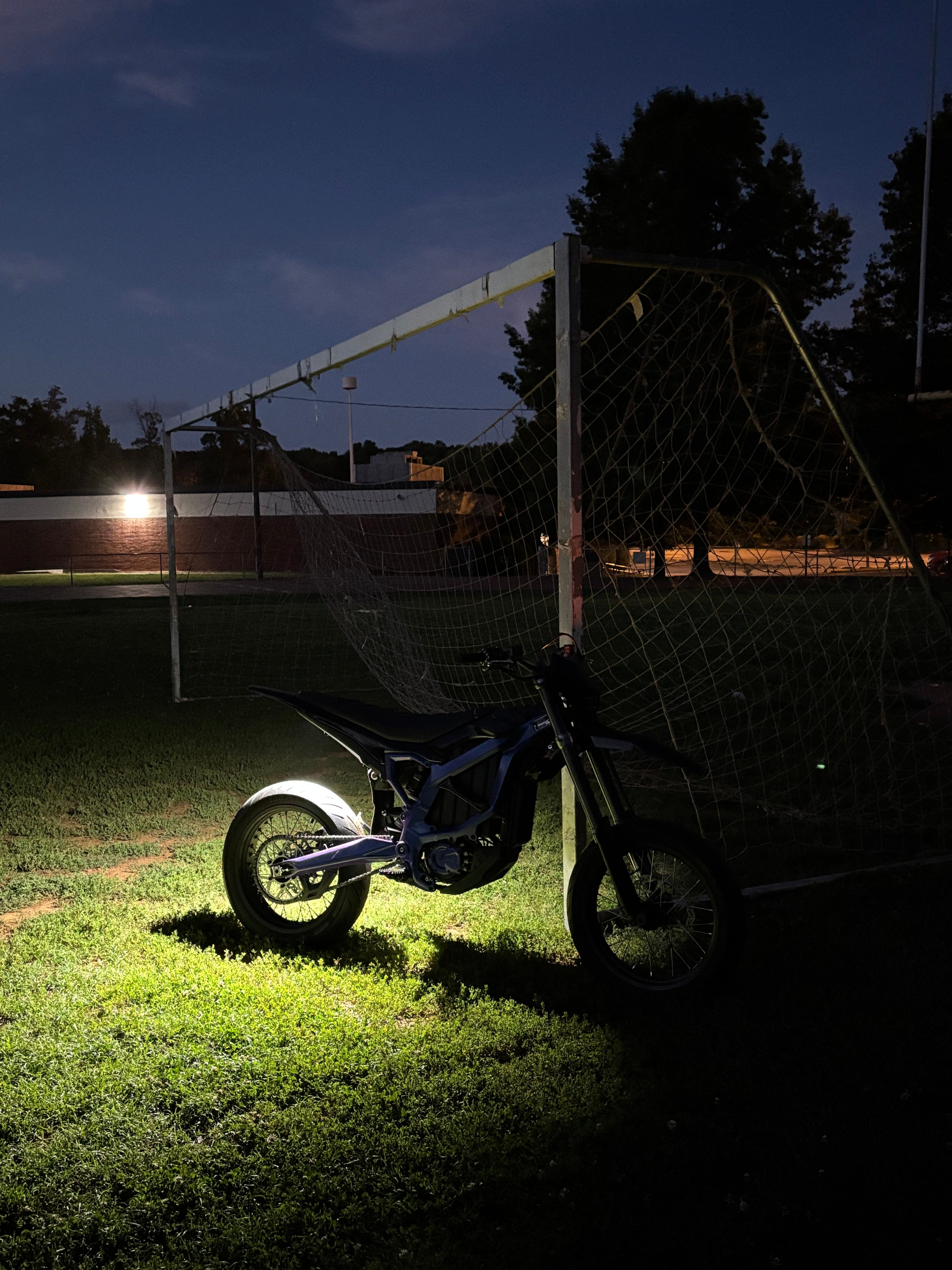 Plug & Play Ultra Bee Rock Light